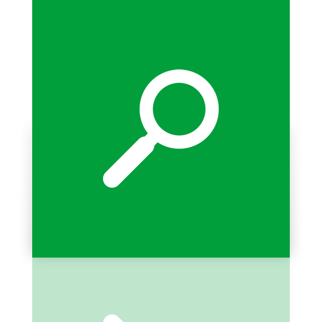 search,mirror icon