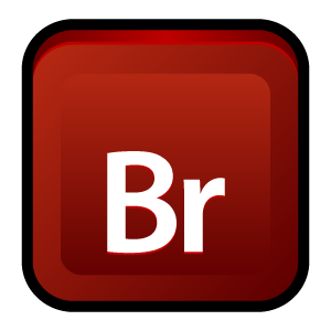 adobe,bridge,cs icon