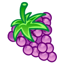grape,fruit icon