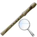 flute,zoom,instrument icon