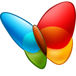 msn,explorer icon