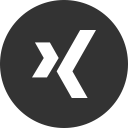 logo, media, social, xing svg vector icon