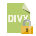 file,format,divx,lock icon