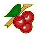 cherry icon