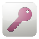 access, ms icon