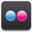 flickr icon
