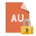 file,format,lock icon