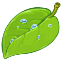 coda icon