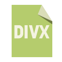 file,format,divx icon