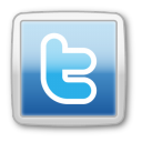 twitter,social,social network,social media,sn icon