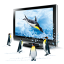 d, penguins icon