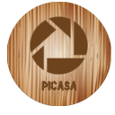 picasa icon
