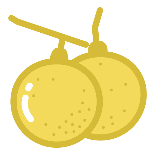 Longan svg vector icon