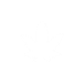 appbar,plant icon