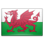 wales icon