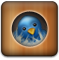 birdhouse icon