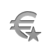 currency,sign,euro,star icon