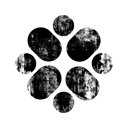 097749, ziki icon