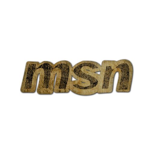 msn,logo icon