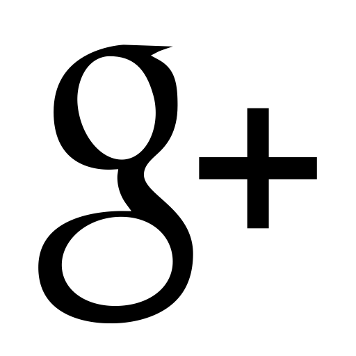 Web Google Verification svg vector icon