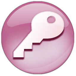access,color icon