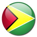 guyana,flag,country icon
