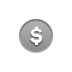 coin,dollar icon