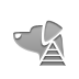 sniffer,pyramid icon