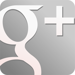googleplus,grey icon