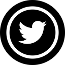 twitter icon