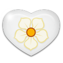 magnolia icon