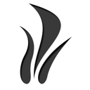 24 icon