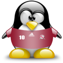 trinidad,tobago,penguin,animal icon