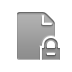 document,lock icon