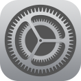 settings icon