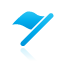 flag icon