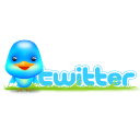 twitter,bird,social,animal,social network,sn icon