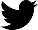 bird, new, simple, twitter icon