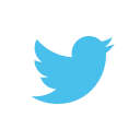 company, logo, twitter, twitter logo svg vector icon