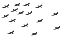 animal, animals, birds, farm, rural svg vector icon
