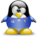 france,penguin,animal icon