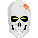 skull icon