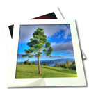 book, gallery, images, photos, pictures icon