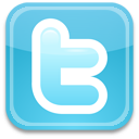 twitter,social,social network,sn icon