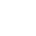 w3c icon