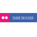business, connection, flickr, marketing, share, social, web svg vector icon