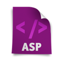 page,asp icon