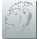 dvi icon