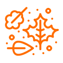 autumn, fall, leaves svg vector icon