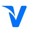 media, payment, social, visa svg vector icon